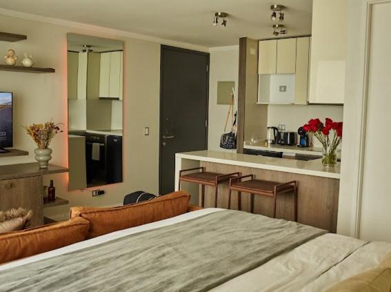 Comfortable apartment in Vitacura near shopping - One-Bedroom Apartment - 16