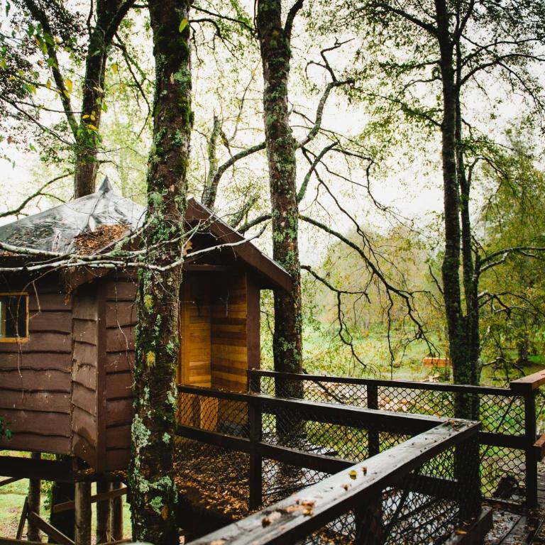 Huilo Huilo Canopy Village - Basic Bungalow with Private External Toilet (4 Adults) - 9