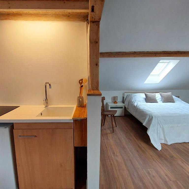 Large Private Room Near Colmar Center with Free Public Parking - Chambre Double avec Salle de Bains Privative - 1