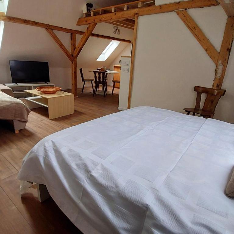 Large Private Room Near Colmar Center with Free Public Parking - Chambre Double avec Salle de Bains Privative - 14