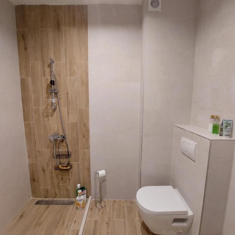 Kuc-kuc Kolašin - Apartman sa 1 Spavaćom Sobom - 10