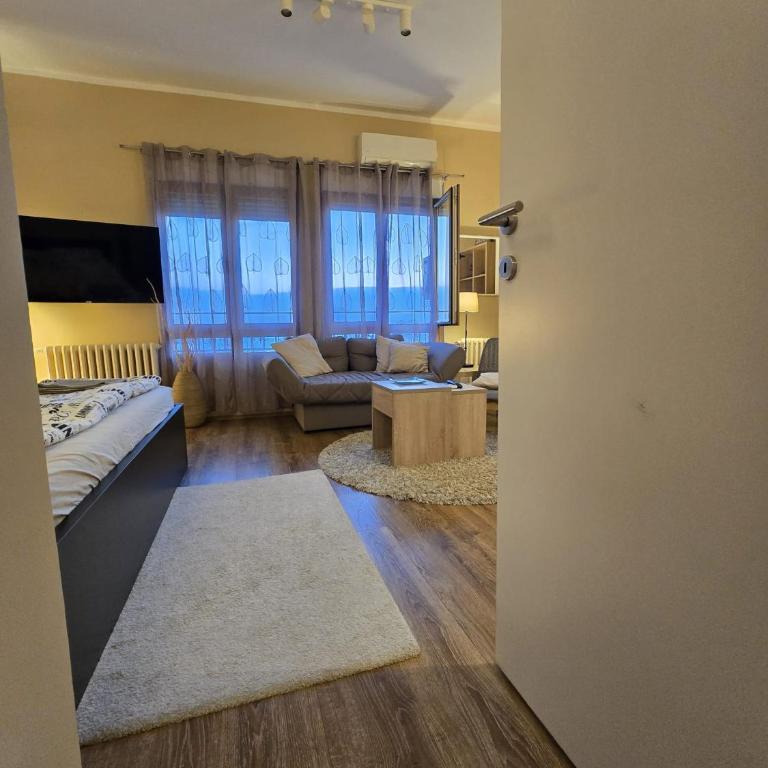 Crown Apartment - One-Bedroom Apartment - 18