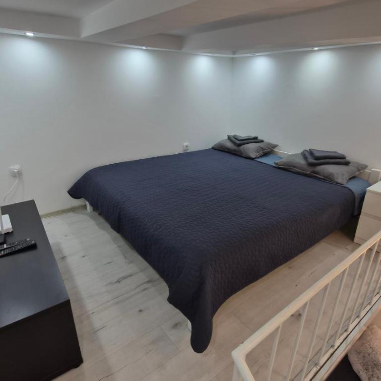 Belgrade Beauty Apartment - Apartman sa 1 Spavaćom Sobom - 11