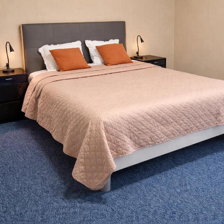 Appartement T2 au calme 10 min de métro Barriere de paris , Lavache - Appartement 1 Chambre - 1