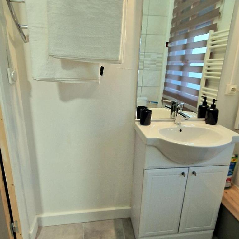 Appartement T2 au calme 10 min de métro Barriere de paris , Lavache - Appartement 1 Chambre - 9