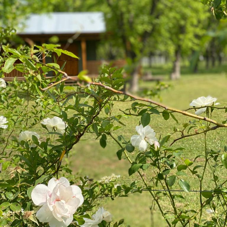 Refugio Verde - Casa de 2 dormitorios - 1