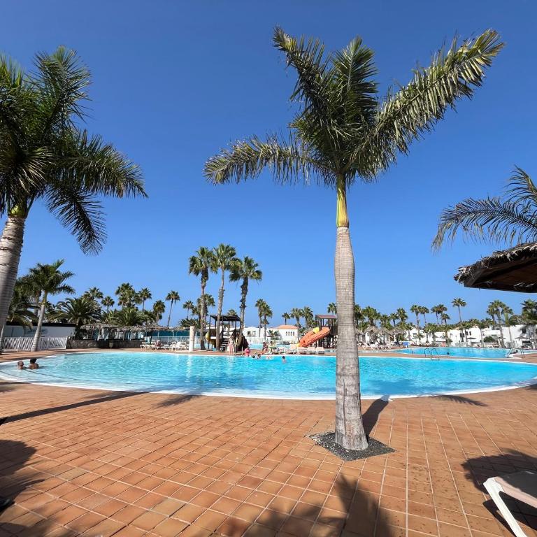 All Seasons Oasis - Apartamento de 2 dormitorios - 23