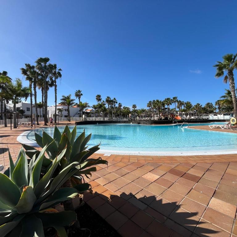 All Seasons Oasis - Apartamento de 2 dormitorios - 29