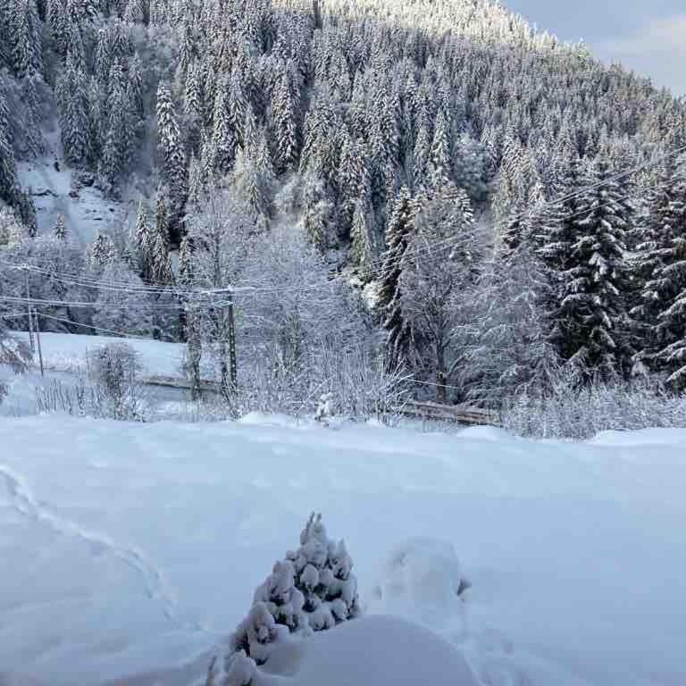 Apartment in new chalet with private garden - Apartment mit 1 Schlafzimmer - 30
