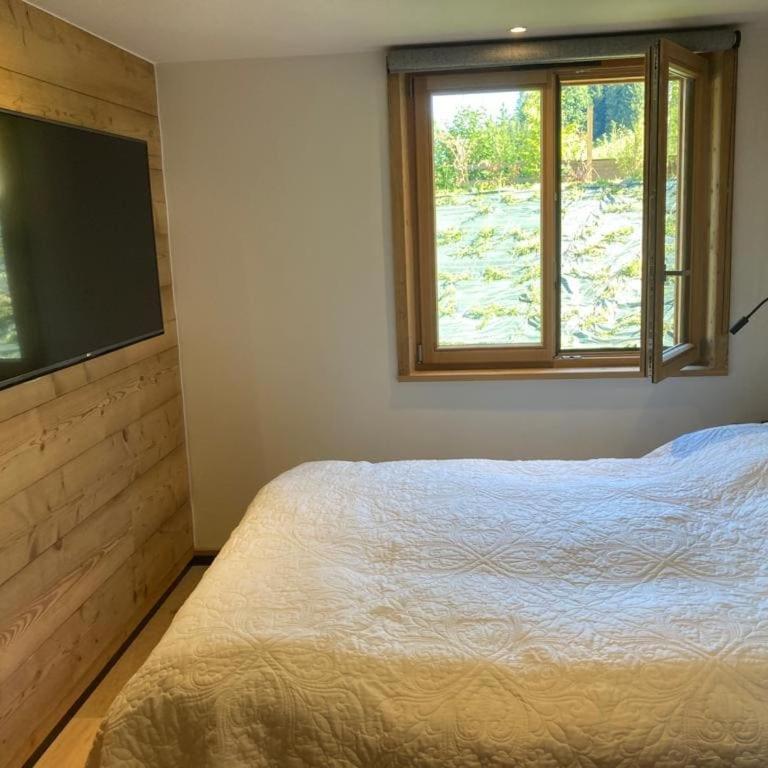 Apartment in new chalet with private garden - Apartment mit 1 Schlafzimmer - 34