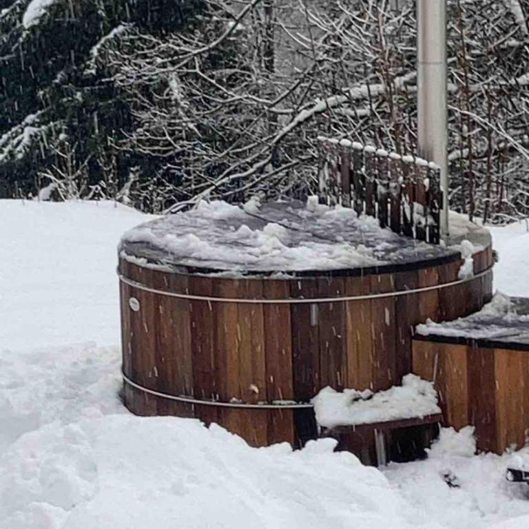 Apartment in new chalet with private garden - Apartment mit 1 Schlafzimmer - 35