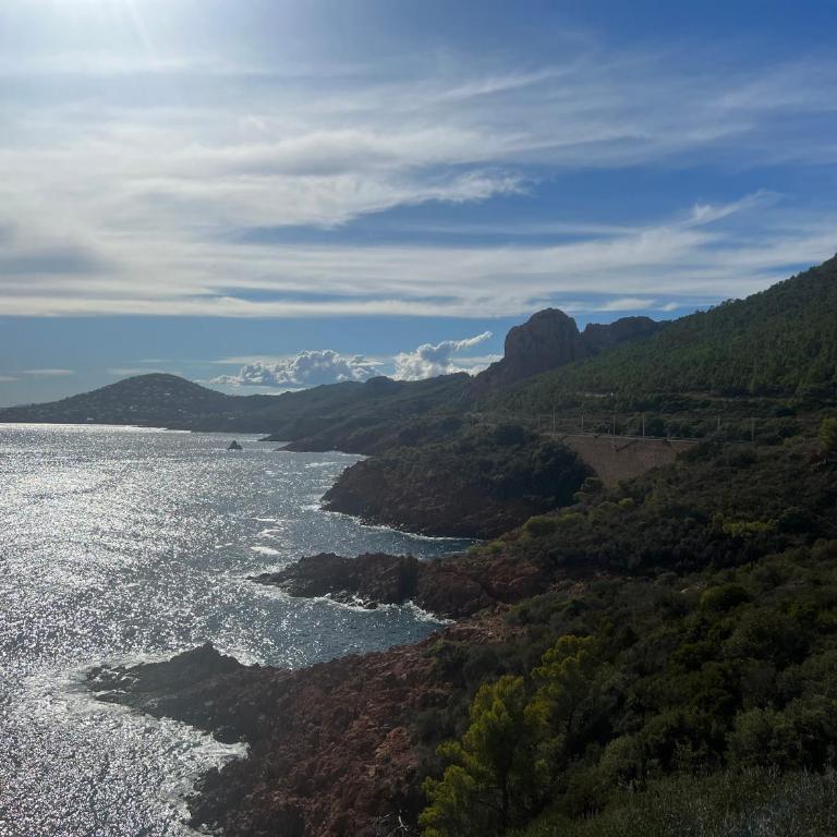 LE GRAND LARGE - Bord de mer- ANTHEOR - Appartamento con 1 Camera da Letto - 19