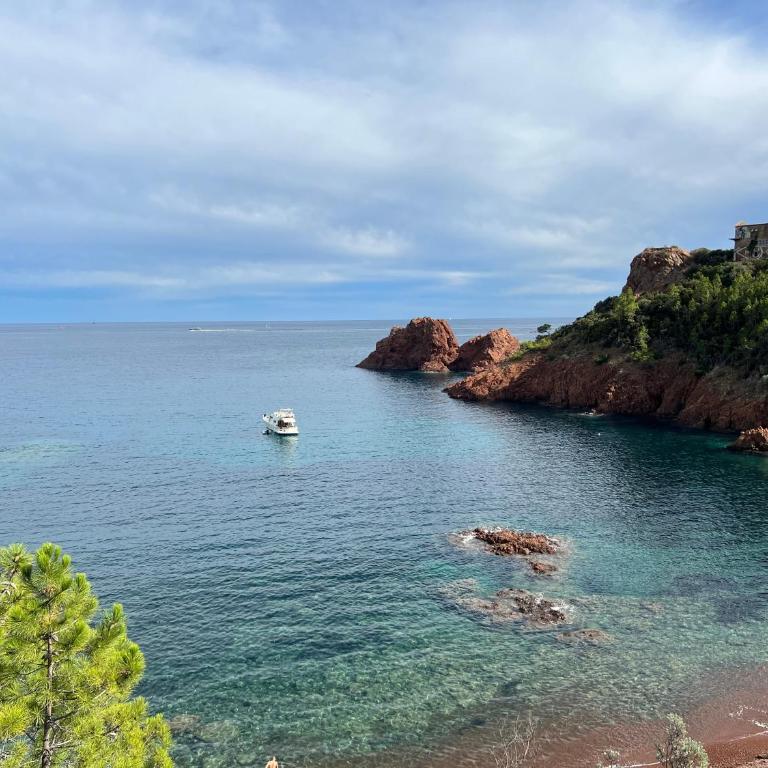 LE GRAND LARGE - Bord de mer- ANTHEOR - Appartamento con 1 Camera da Letto - 20