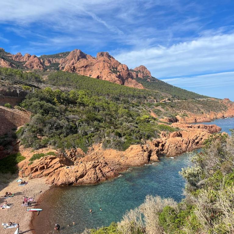 LE GRAND LARGE - Bord de mer- ANTHEOR - Appartamento con 1 Camera da Letto - 24