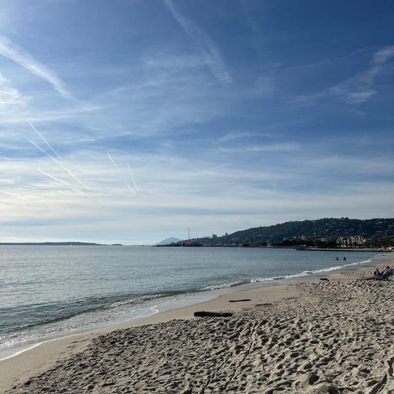 L'Écrin de Juan, T2 de standing, 2P, plages et parcs - Appartamento con 1 Camera da Letto - 8