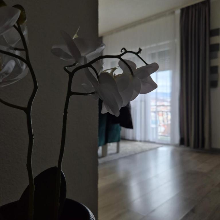 Apartmani AMA - Apartman sa 1 Spavaćom Sobom - 12