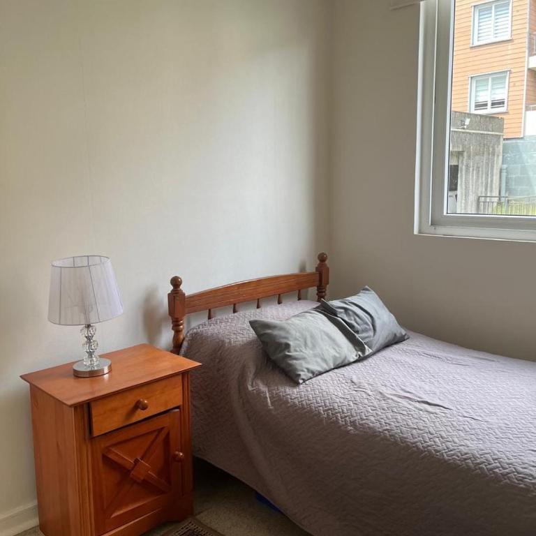Departamento en Puerto Varas en barrio estación - Three-Bedroom Apartment - 2