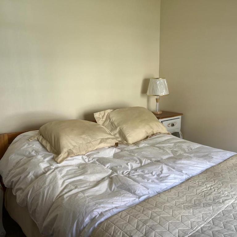 Departamento en Puerto Varas en barrio estación - Three-Bedroom Apartment - 3