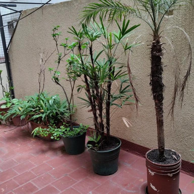 Palermo Soho, Plaza Italia frente a Expo La Rural - Apartamento Estándar de 2 dormitorios - 35