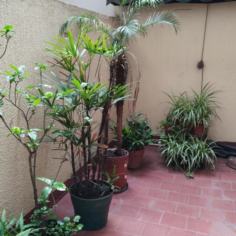 Palermo Soho, Plaza Italia frente a Expo La Rural - Apartamento Estándar de 2 dormitorios - 36