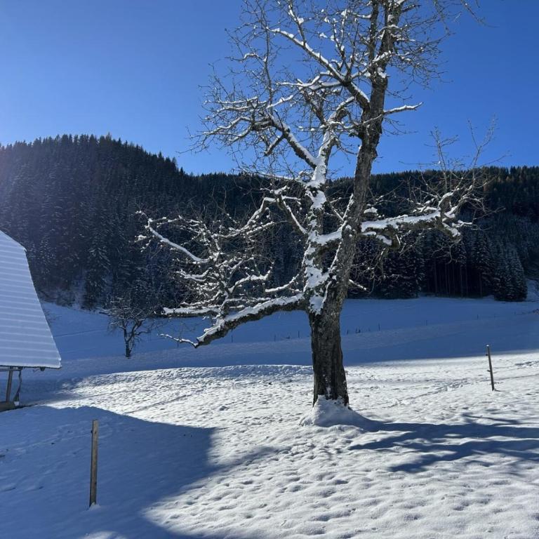 Glatz Hof Appartement Nockberge - Apartment mit 2 Schlafzimmern und Balkon - 61