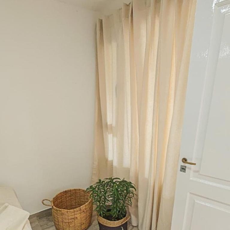 Suite de Lujo Castañitas - One-Bedroom Apartment - 3