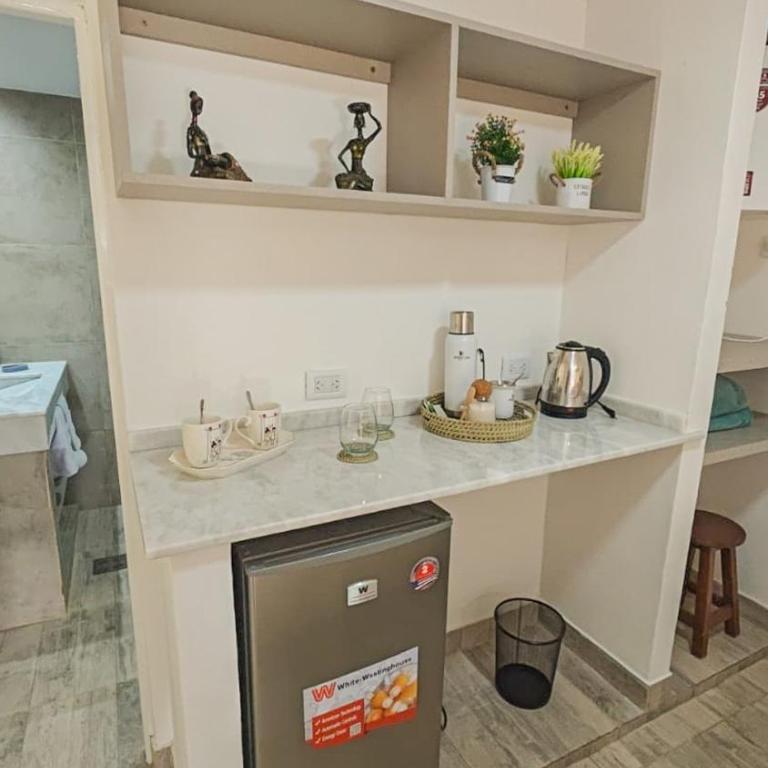 Suite de Lujo Castañitas - One-Bedroom Apartment - 5