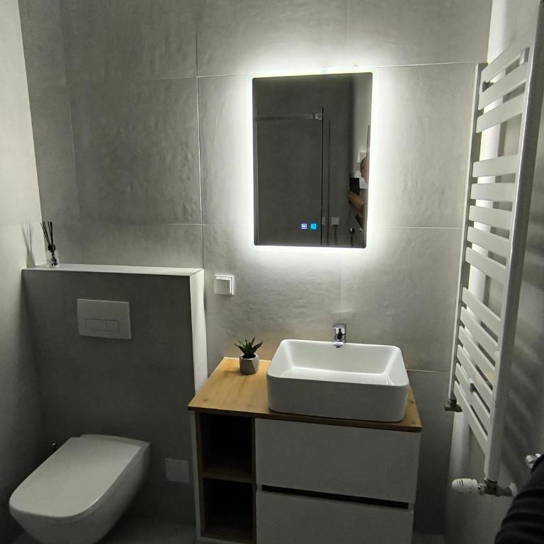 Nina & Anja Residence - Apartman sa 1 Spavaćom Sobom - 14