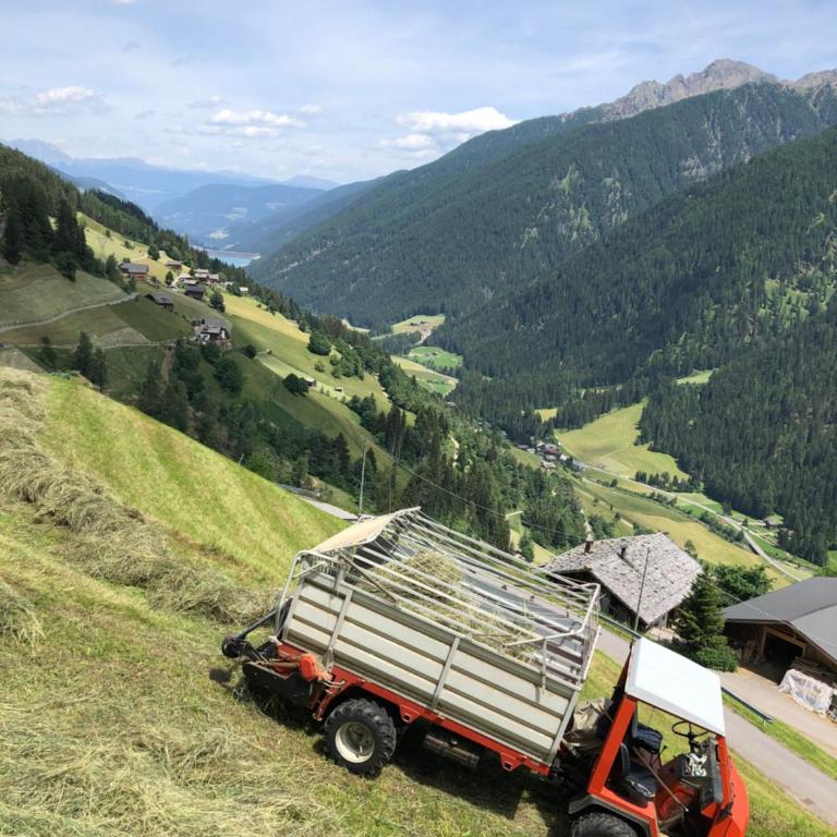 Biohof Unterstein - Appartamento con 2 Camere da Letto - 25