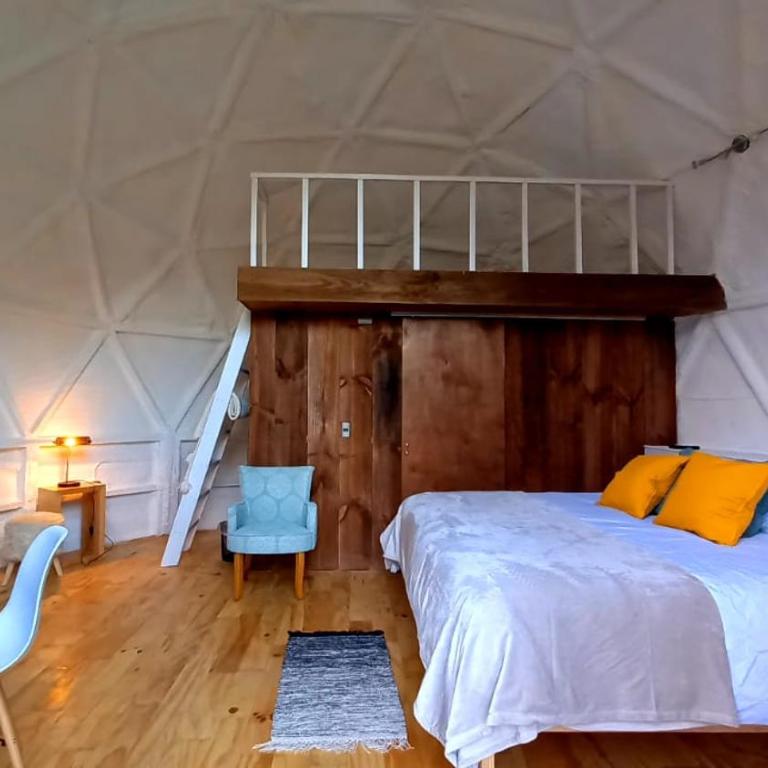 Cabañas y Domos Liquiñe - Superior Triple Room - 6
