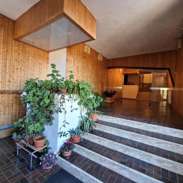 The Little Lodge - Campiglio Center - One-Bedroom Apartment - 6