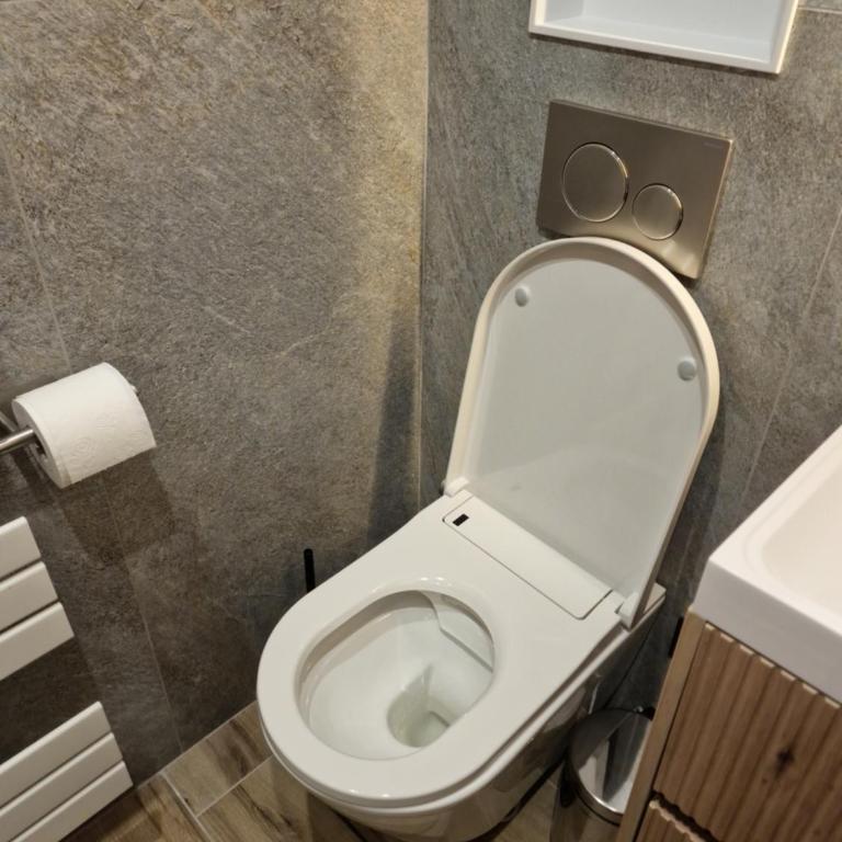 The Little Lodge - Campiglio Center - One-Bedroom Apartment - 11
