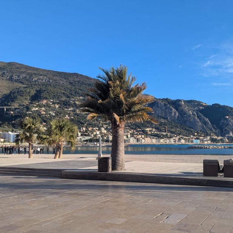 Stunning large 2 rooms apartment seafront - Appartement 1 Chambre - 43