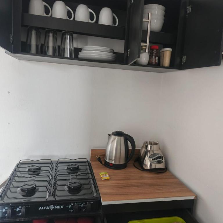 Roux - One-Bedroom Apartment - 10