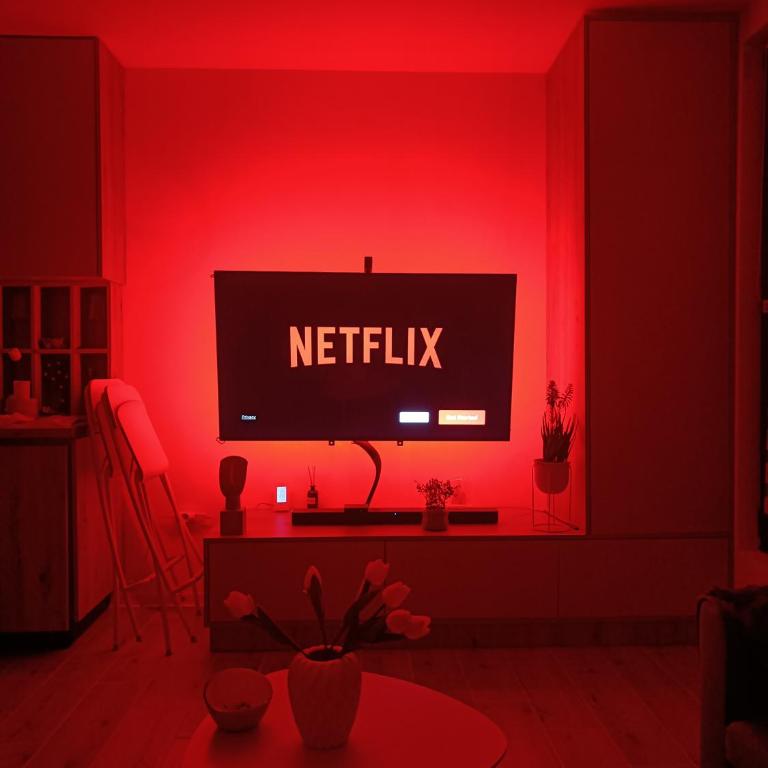 Studio 28 - Apartman sa 1 Spavaćom Sobom - 12