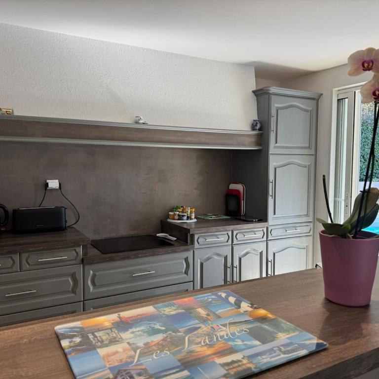 Villa 3 étoiles piscine chauffée 6 pers Biscarrosse Lac - Villa 3 Chambres - 10