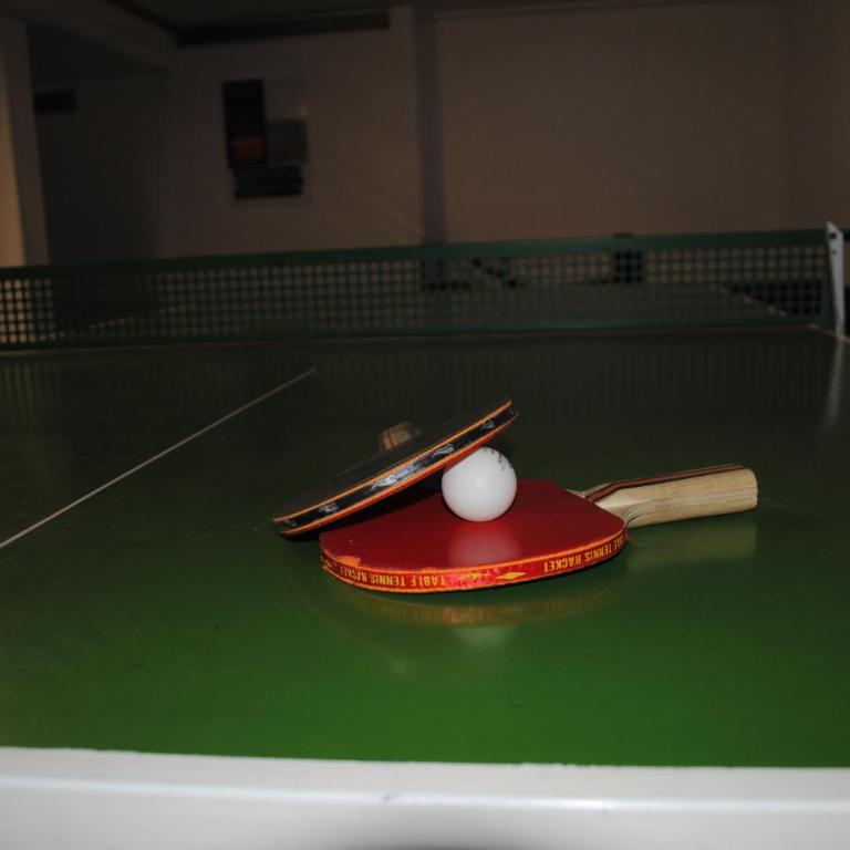 Familienwohnung Sonnenschein mit Hallenbad, Sauna & activCARD - Apartment - 21