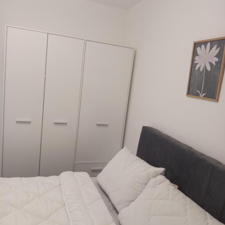 Stan na dan Djina - Banja Koviljaca - Apartman sa 1 Spavaćom Sobom - 19