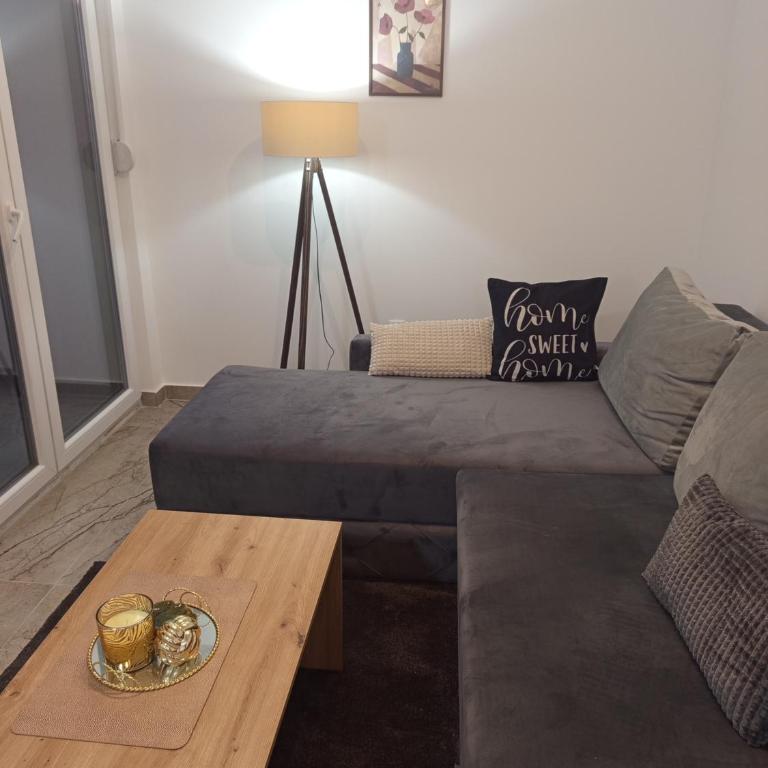 Stan na dan Djina - Banja Koviljaca - Apartman sa 1 Spavaćom Sobom - 27