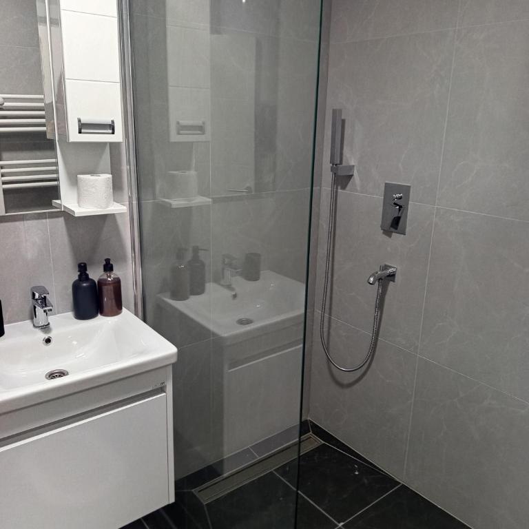 Stan na dan Djina - Banja Koviljaca - Apartman sa 1 Spavaćom Sobom - 10