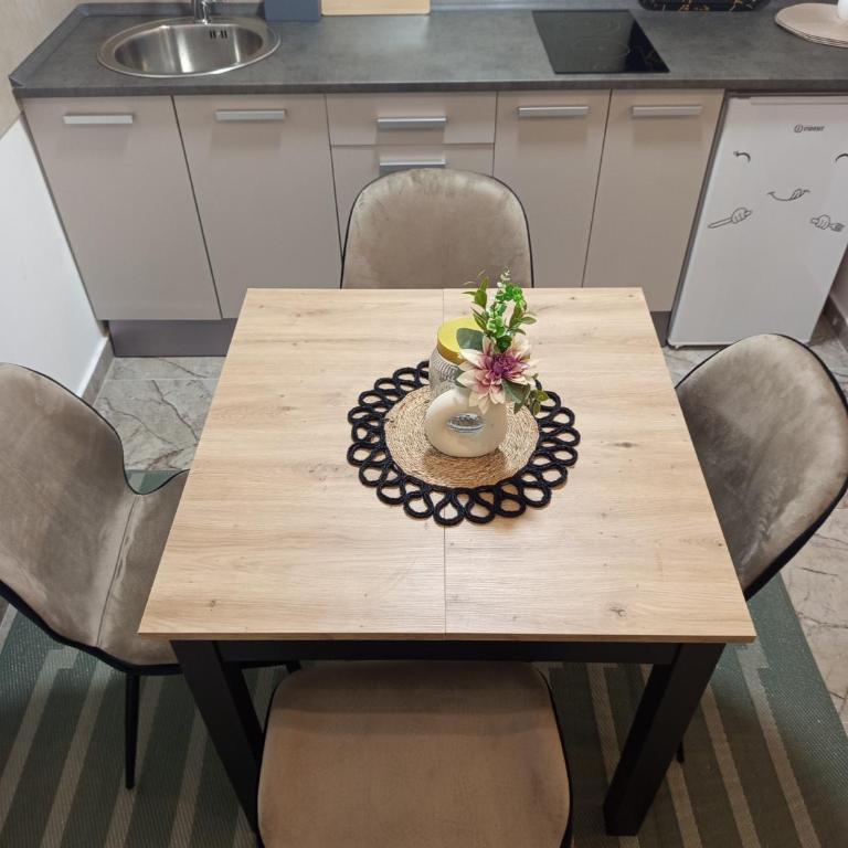 Stan na dan Djina - Banja Koviljaca - Apartman sa 1 Spavaćom Sobom - 28