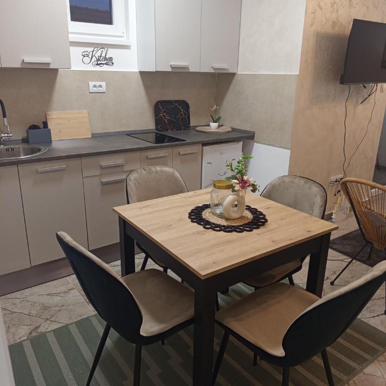 Stan na dan Djina - Banja Koviljaca - Apartman sa 1 Spavaćom Sobom - 7