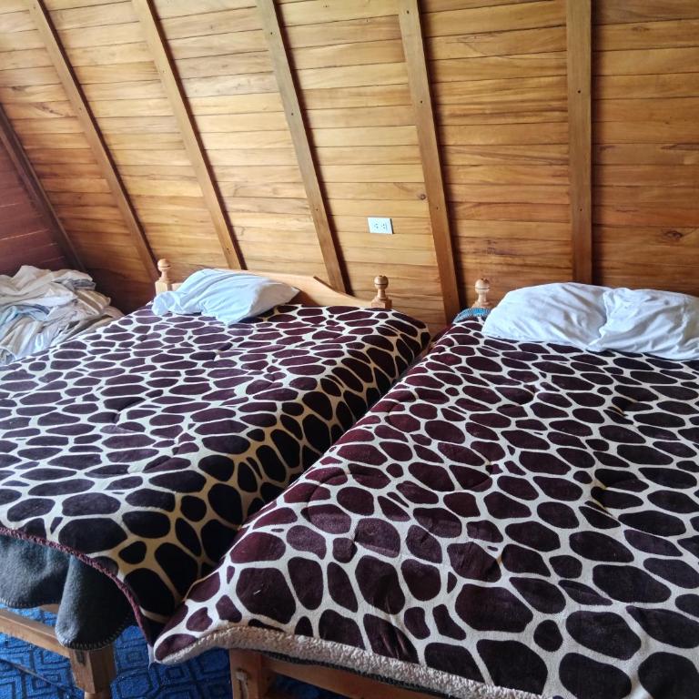 Casa de campo y Chalet las Morenas - Comfort Triple Room - 4