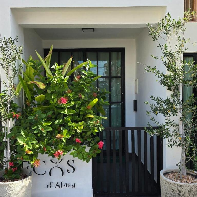 Casa Ecos d' Alma - One-Bedroom Apartment - 1