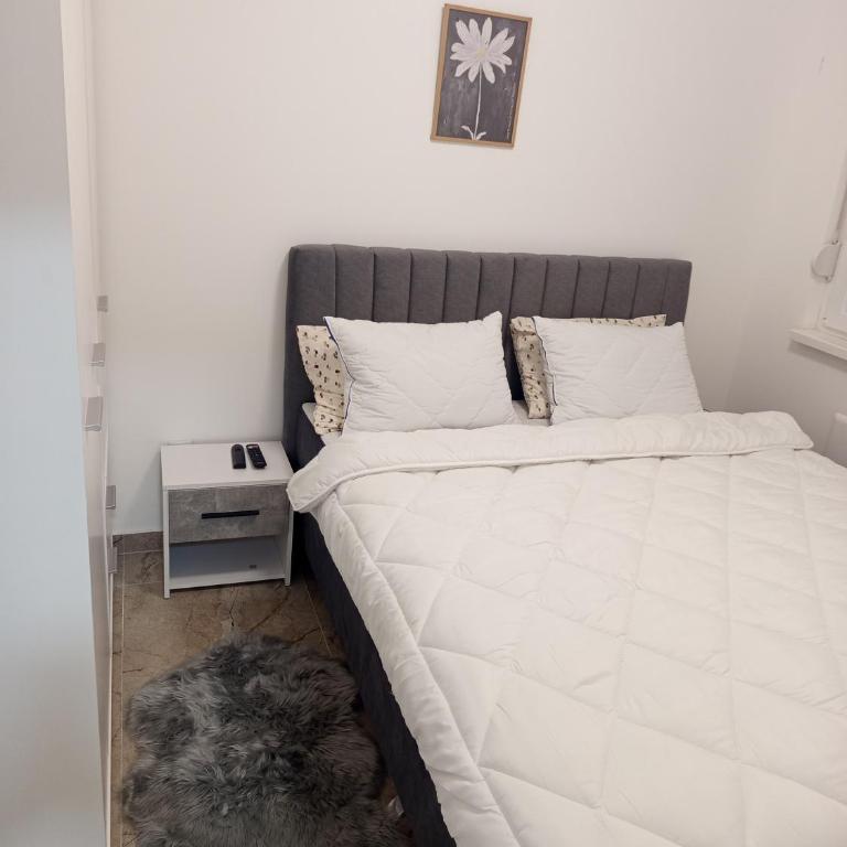 Stan na dan Djina - Banja Koviljaca - Apartman sa 1 Spavaćom Sobom - 11