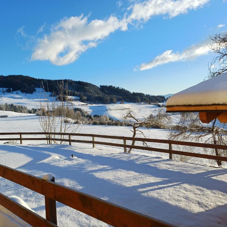 Ferienwohnung Dürnberger - Apartment - 12