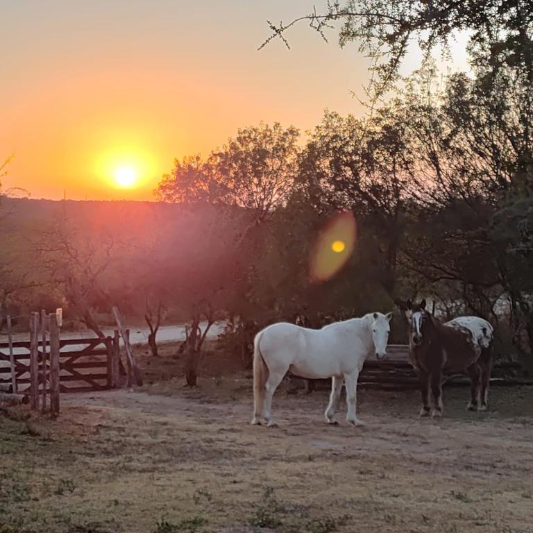 Cabañas Refugio del Alma - Chalet de 2 dormitorios - 21