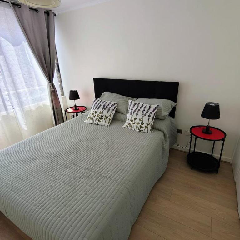 Nilo Azul - One-Bedroom Apartment - 13
