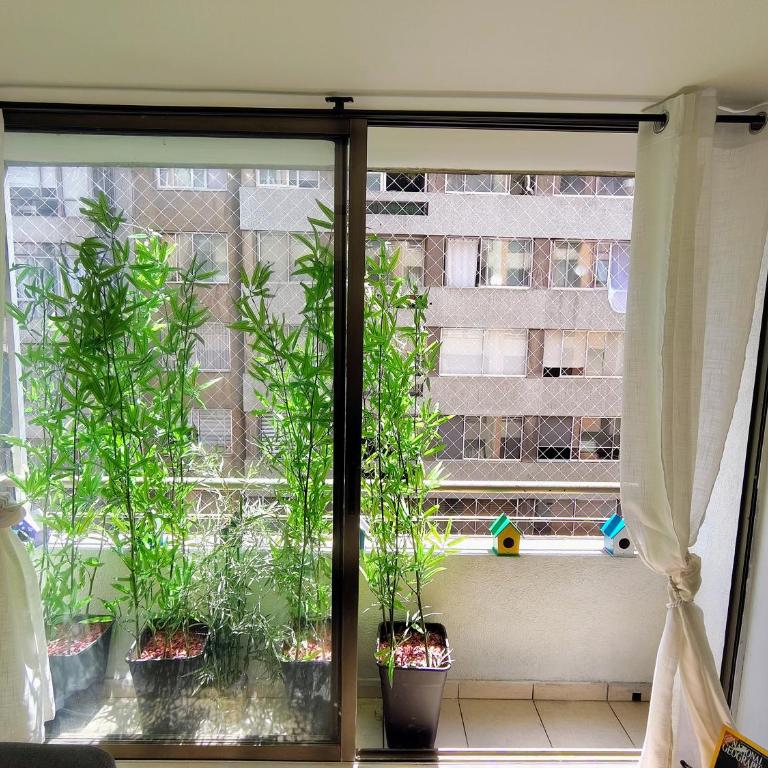 Nilo Azul - One-Bedroom Apartment - 53