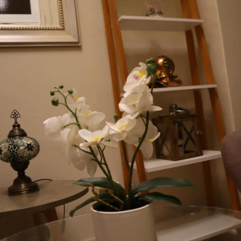 Departamento central y acogedor 2D 3 huéspedes - Two-Bedroom Apartment - 16
